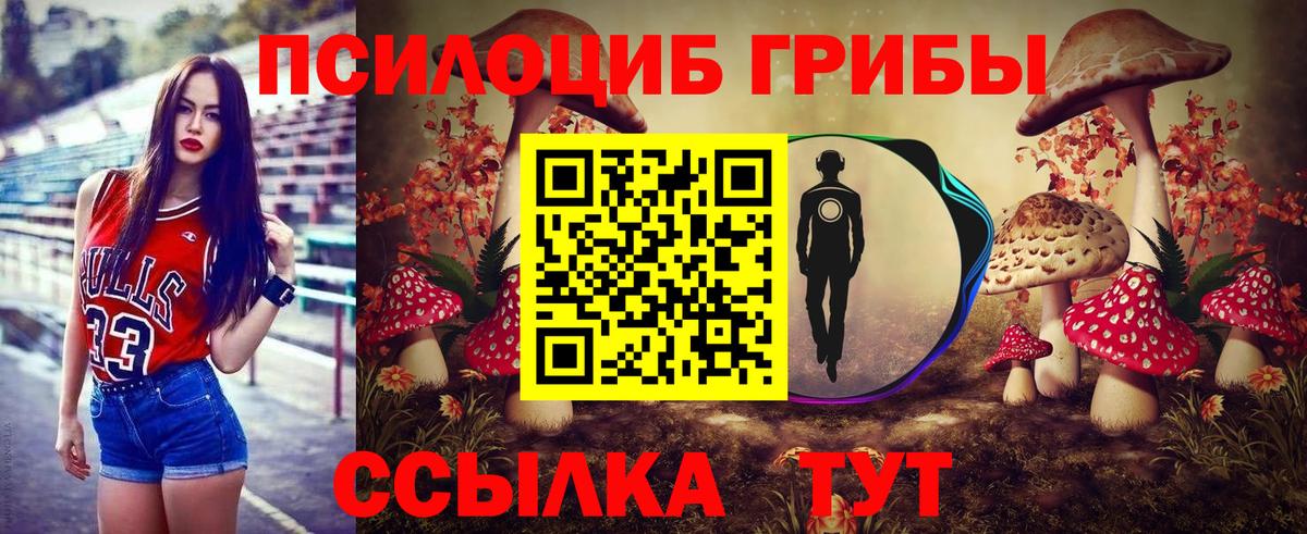 Берёзовский  Бошки Шишки  Альфа ПВП СК   ГАШИШ  Вход с VPN  Cocaine  Меф МЯУ МЯУ кристаллы 
